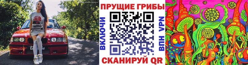 Псилоцибиновые грибы GOLDEN TEACHER  дарнет шоп  Аксай 