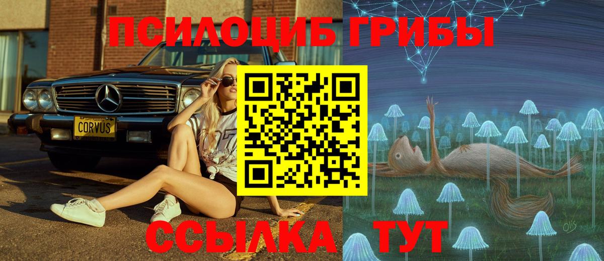 Аксай  Галлюциногенные грибы GOLDEN TEACHER  Вход с VPN 